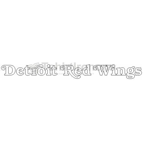 Detroit Red Wings T-shirts Iron On Transfers N137